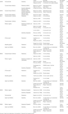 Pharmacogenetic Review: Germline Genetic Variants Possessing Increased Cancer Risk With Clinically Actionable Therapeutic Relationships